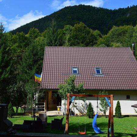 Hotel Casa Aris Lepşa Exterior foto
